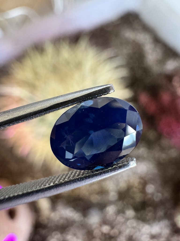 SA31 ct.2,27