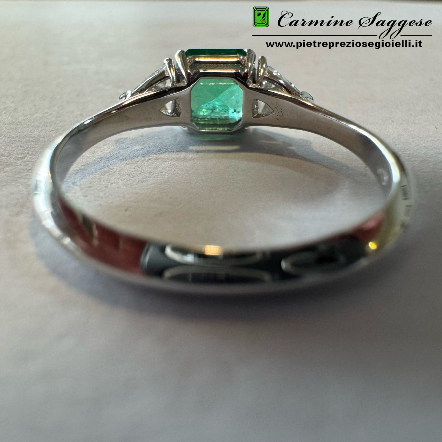 An SME TS.A interno+logo