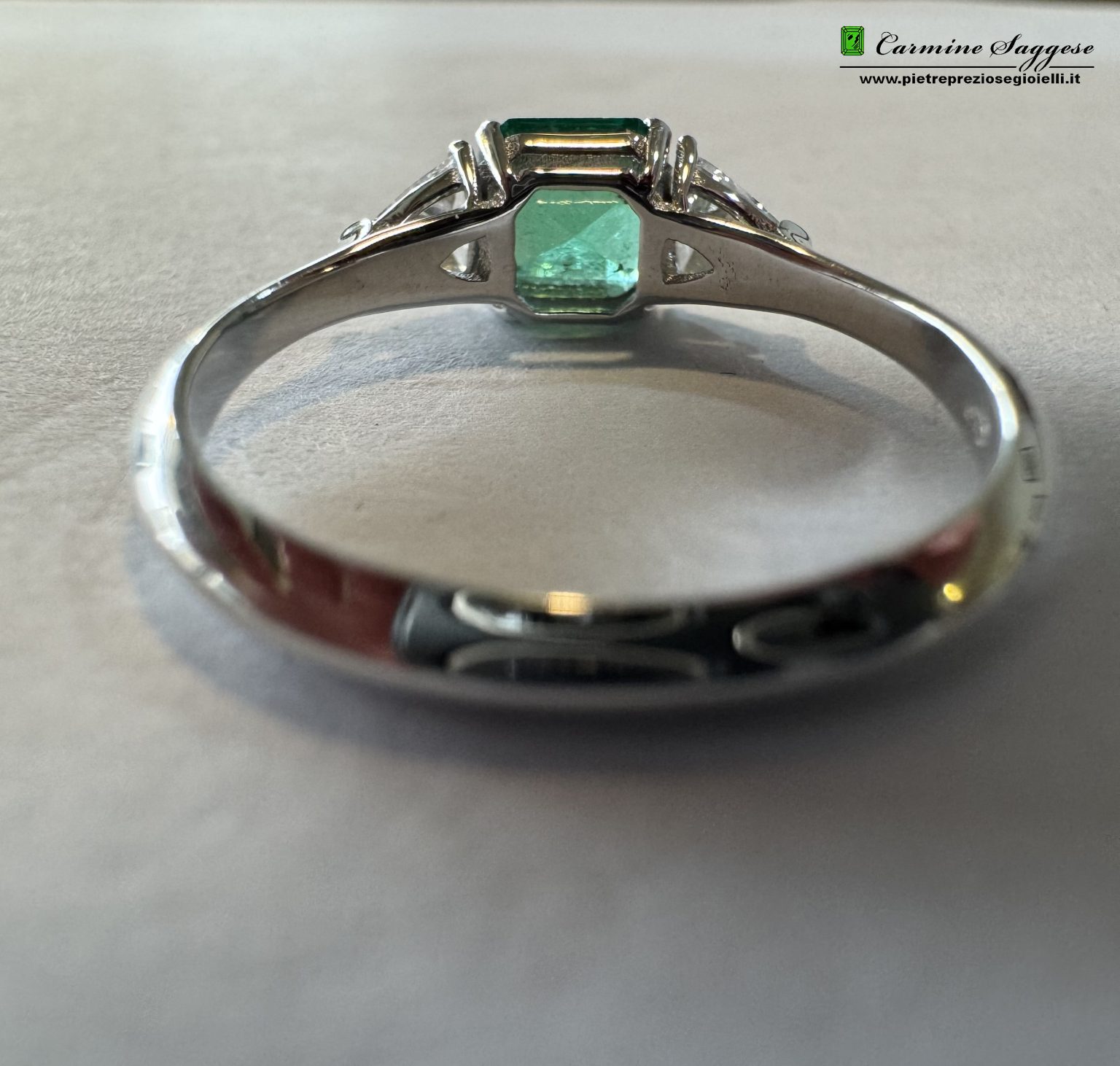 An SME TS.A interno+logo