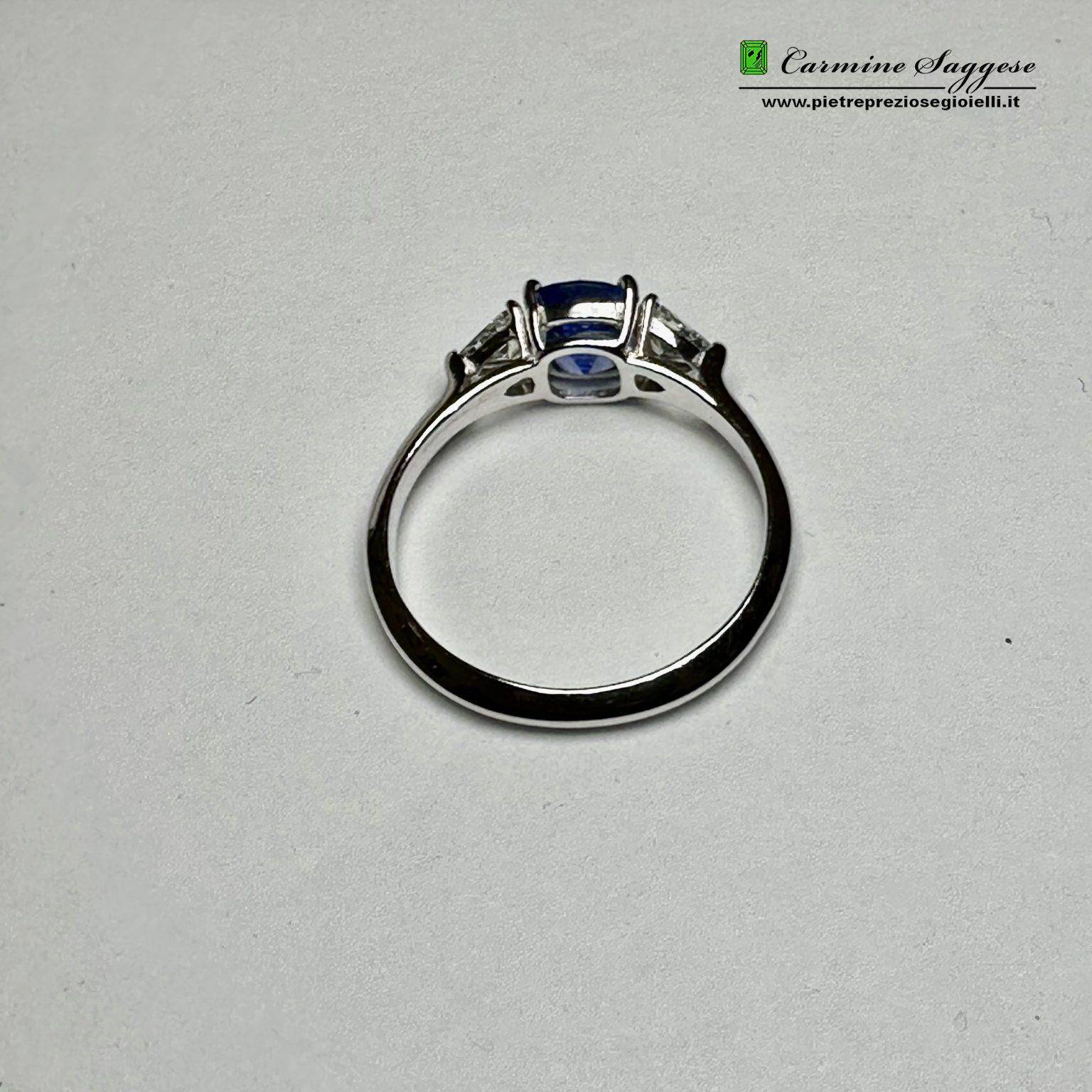 An ZAFF TS.A interno+logo